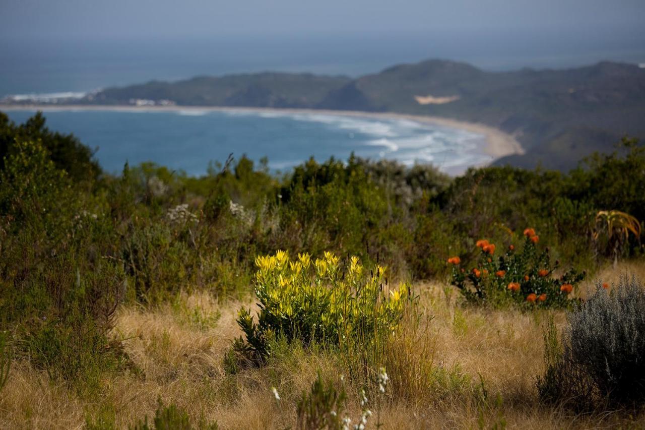 Alkira Lodge Brenton-on-Sea Luaran gambar